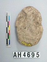 藏品(大砝碼型石網墜)的圖片